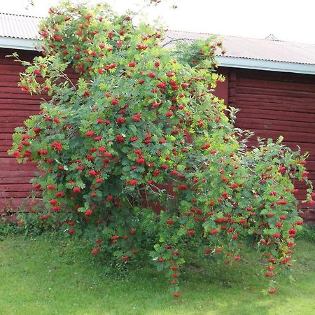 Ferienwohnung Idyllinen Kaksio Kankaanpää Exterior foto